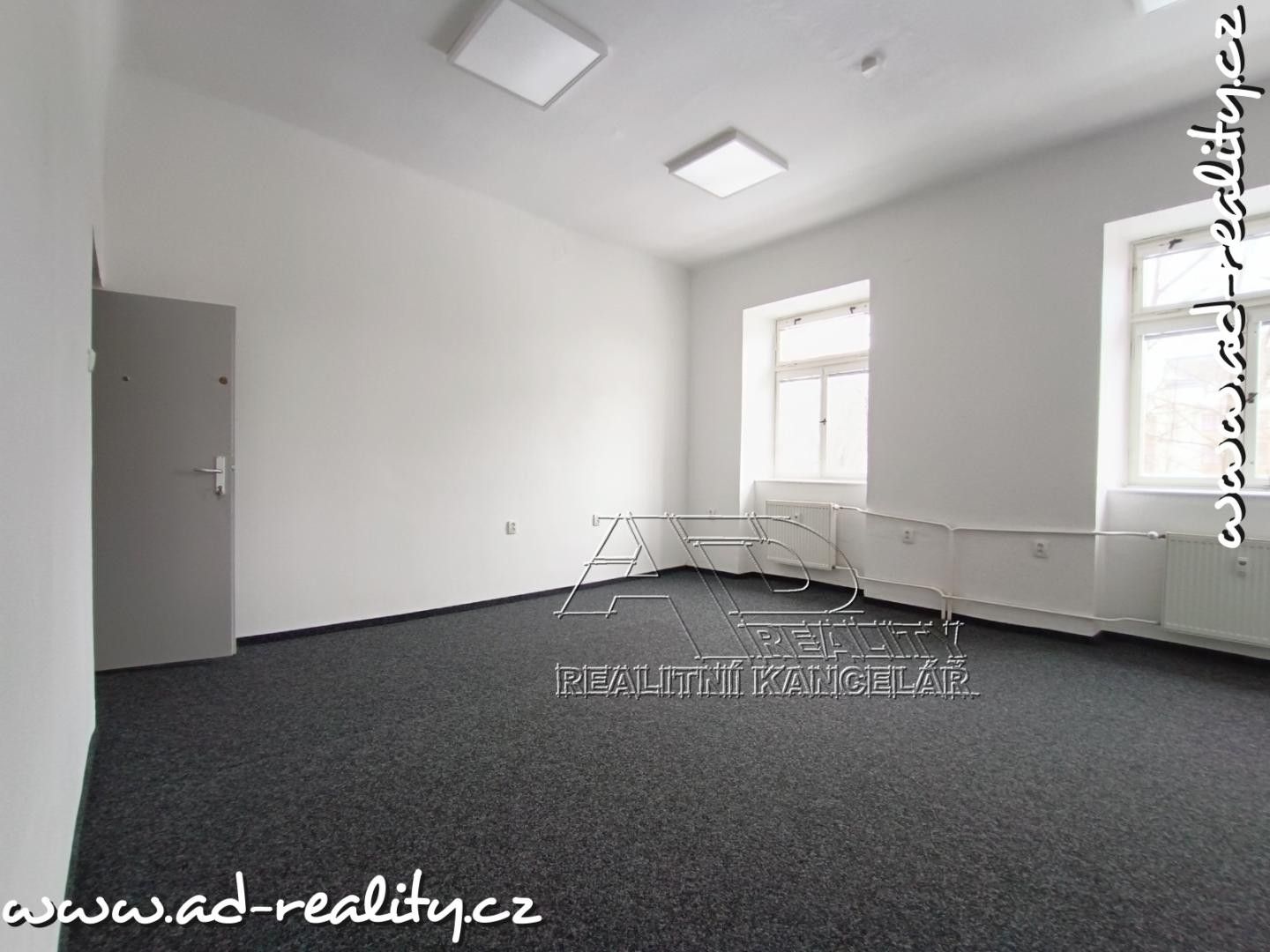 Pronájem komerčního prostoru 132 m² - foto 10