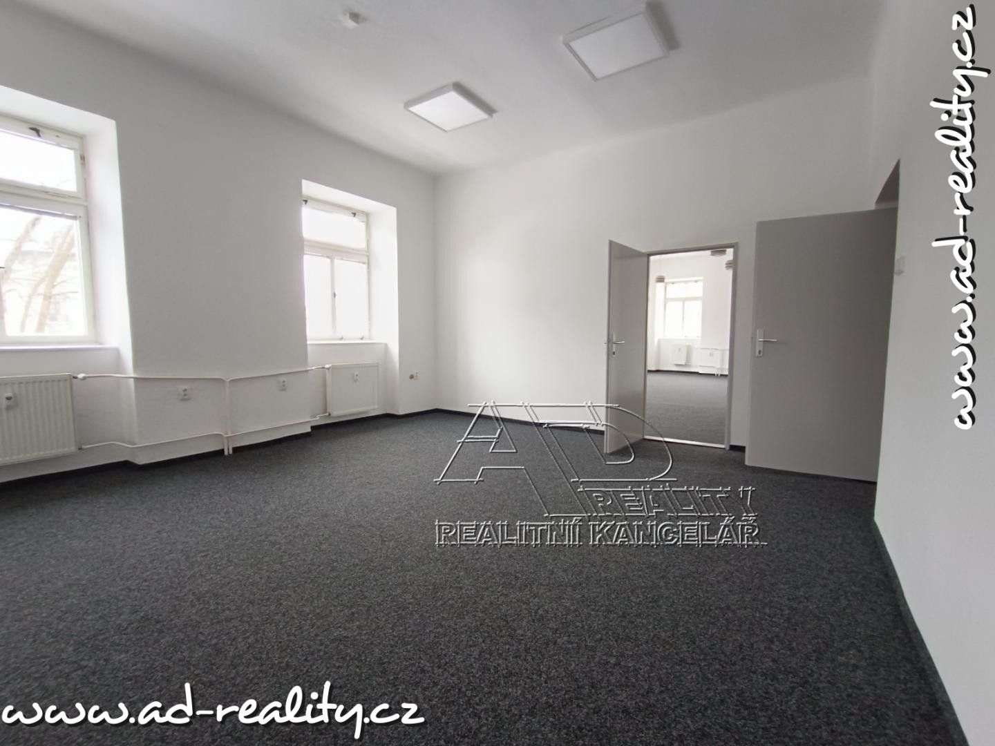 Pronájem komerčního prostoru 132 m² - foto 11