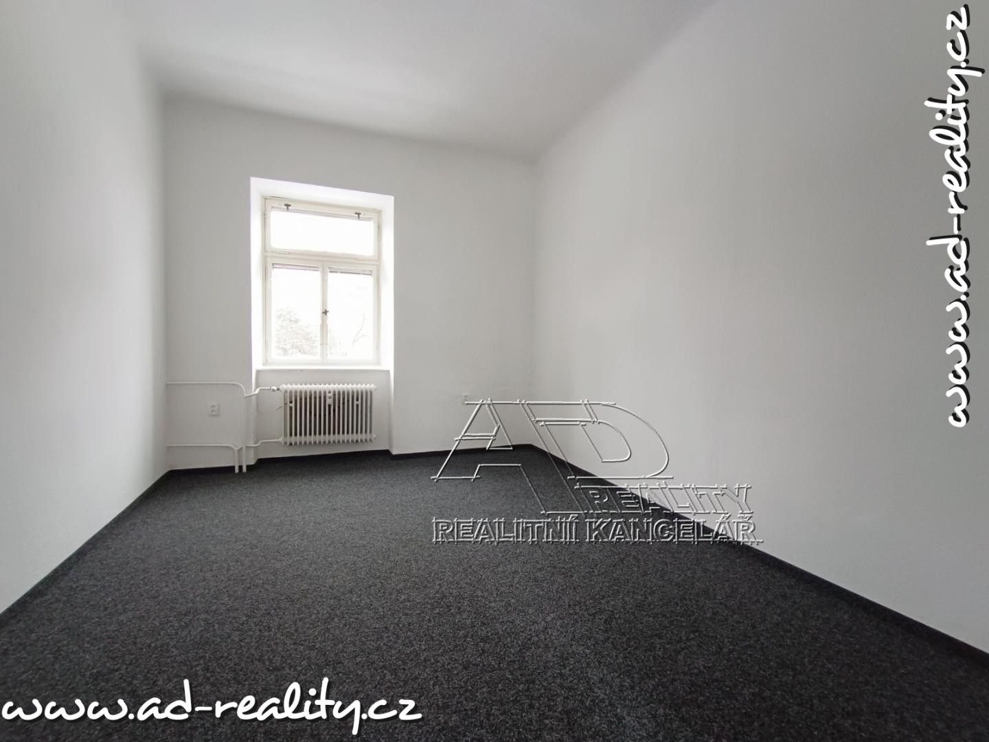 Pronájem komerčního prostoru 132 m² - foto 13