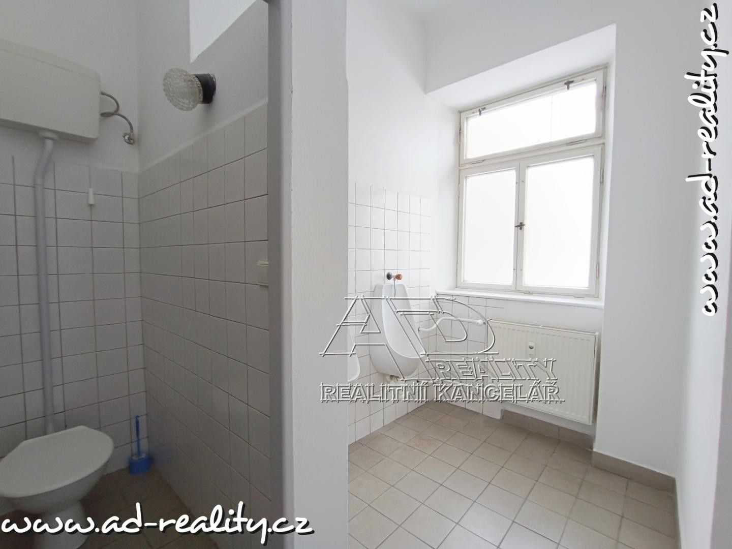 Pronájem komerčního prostoru 132 m² - foto 19