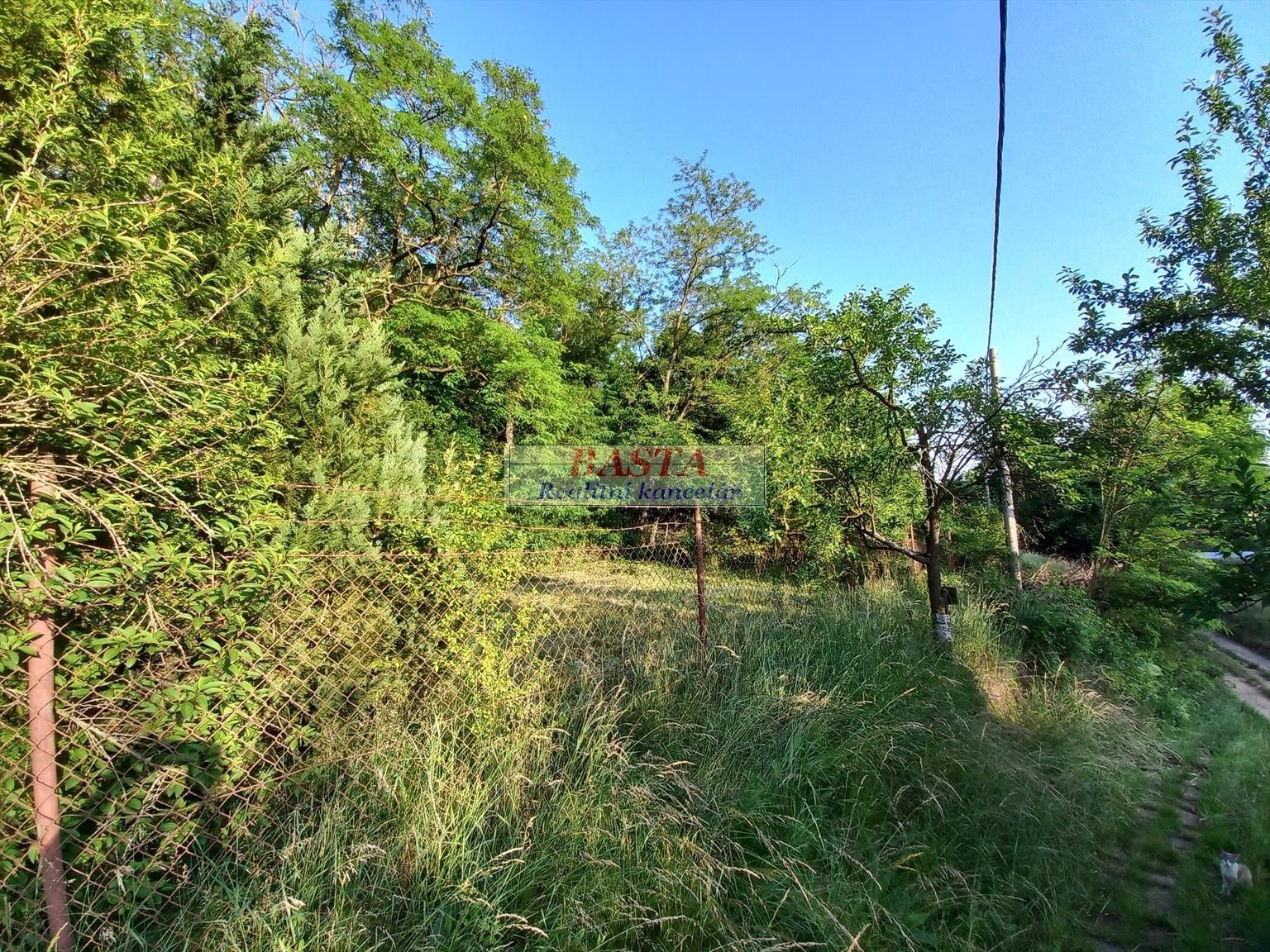 Pronájem pozemku 205 m² - foto 8