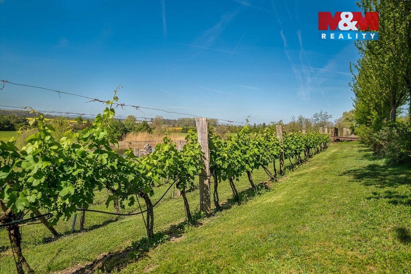Prodej komerčního prostoru 76556 m² - foto 11