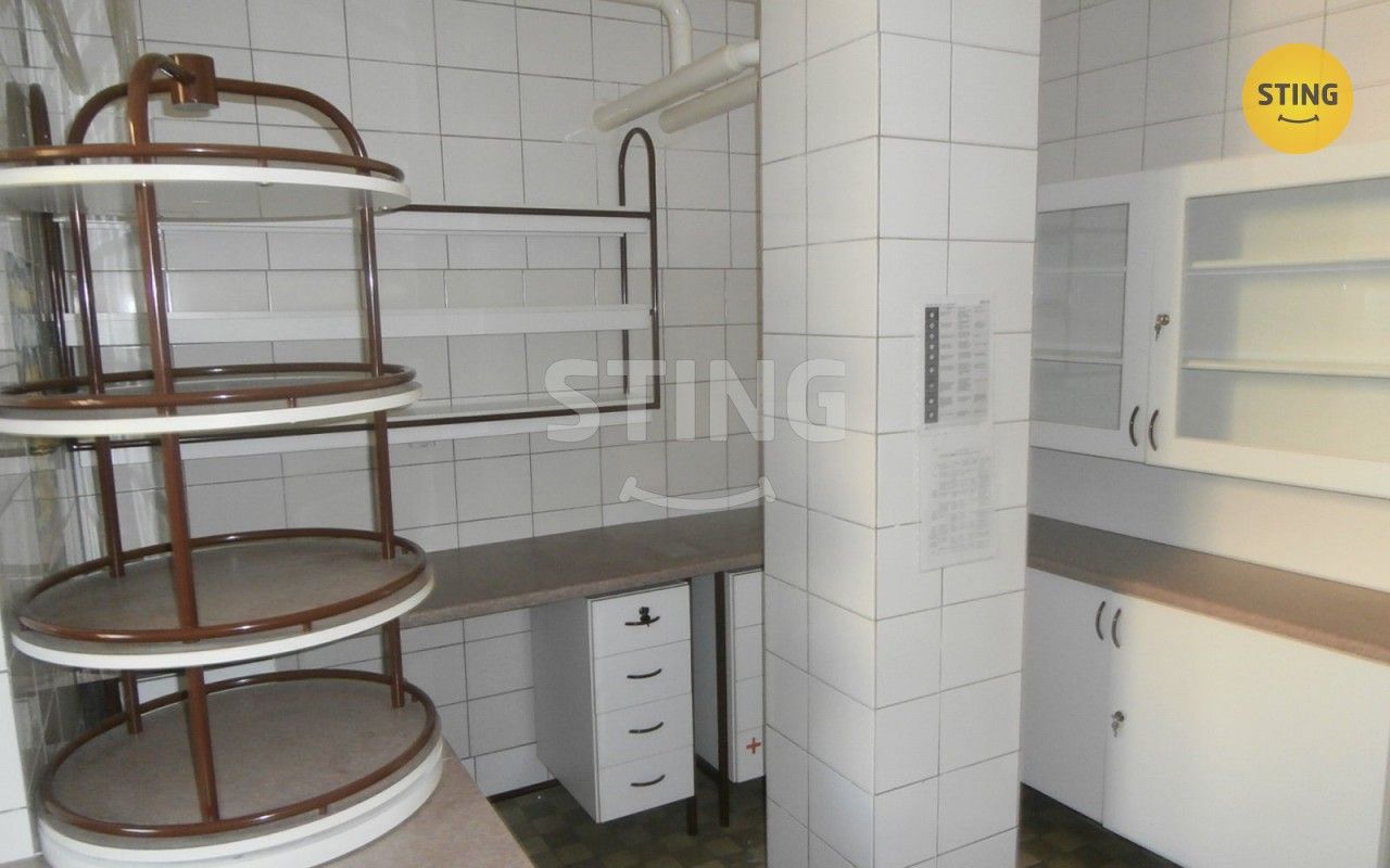 Pronájem komerčního prostoru 240 m² - foto 6