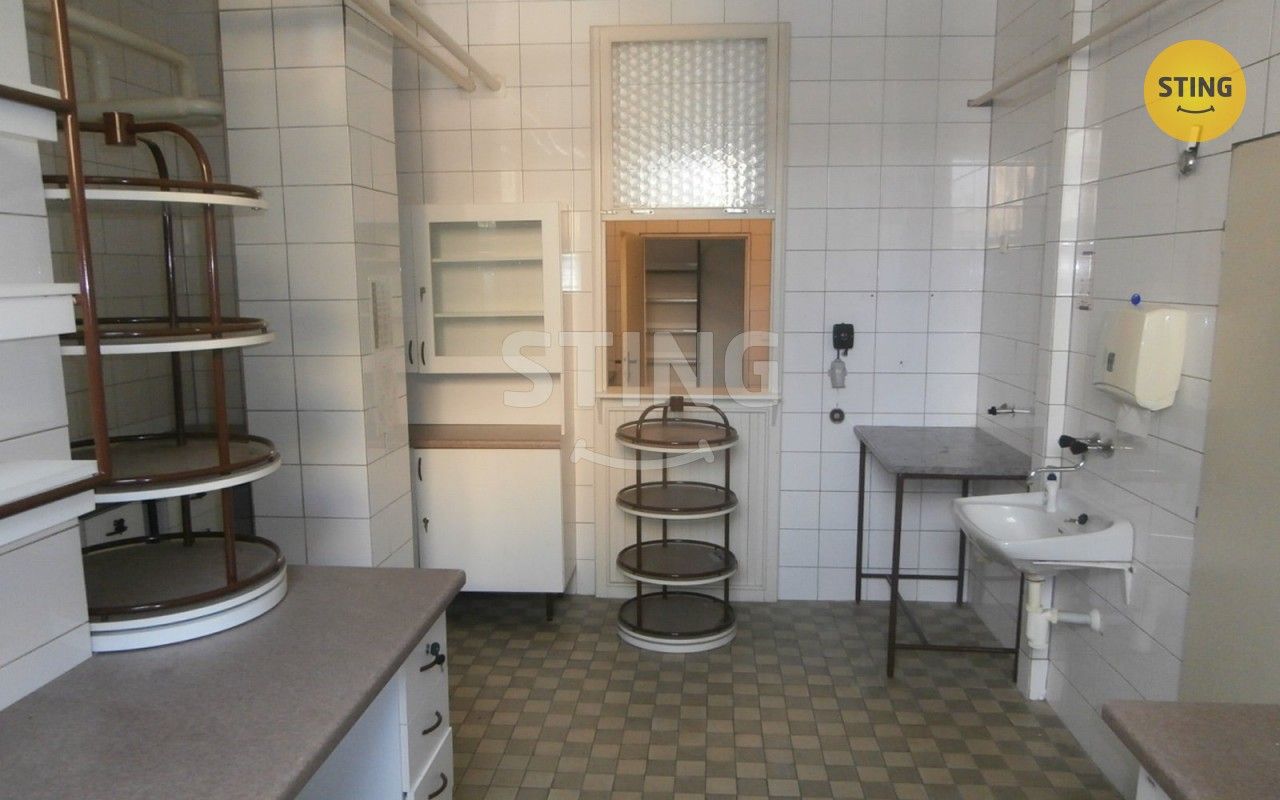 Pronájem komerčního prostoru 240 m² - foto 8