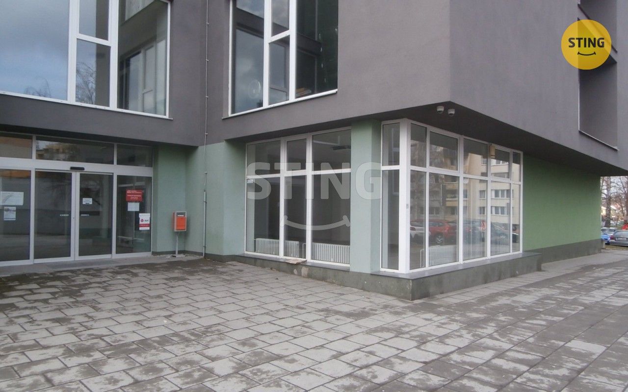 Pronájem komerčního prostoru 240 m² - foto 9