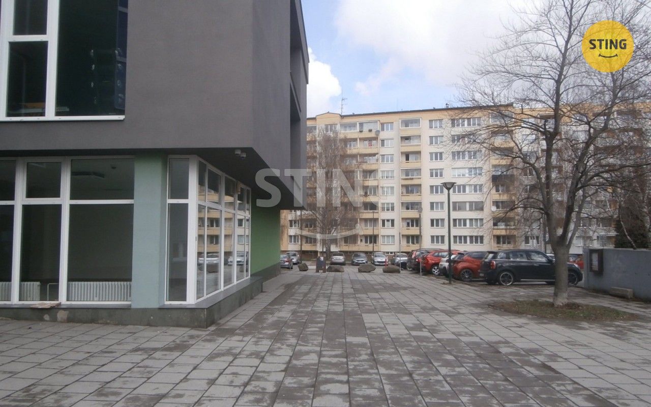 Pronájem komerčního prostoru 240 m² - foto 10