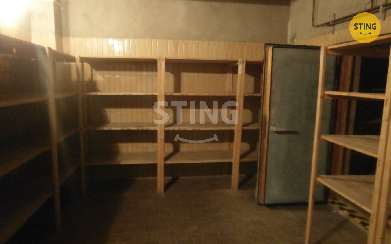 Pronájem komerčního prostoru 240 m² - foto 12