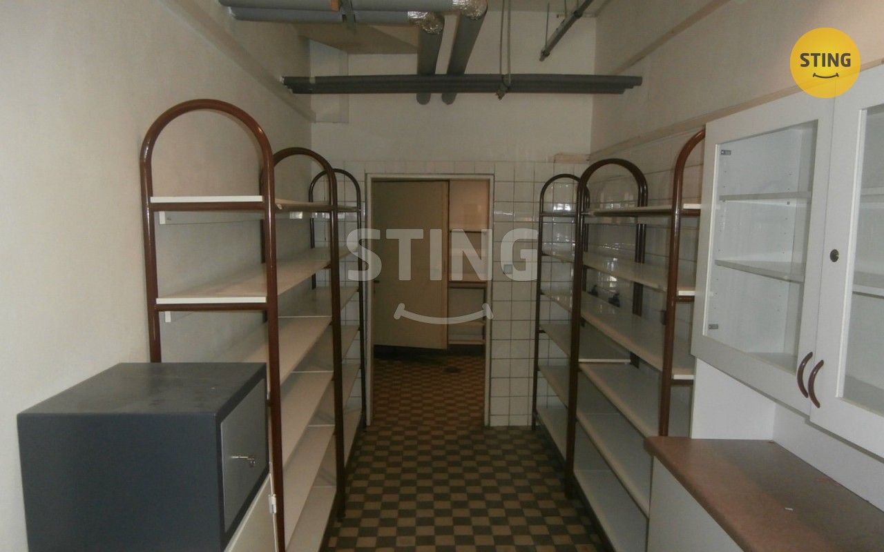 Pronájem komerčního prostoru 240 m² - foto 11
