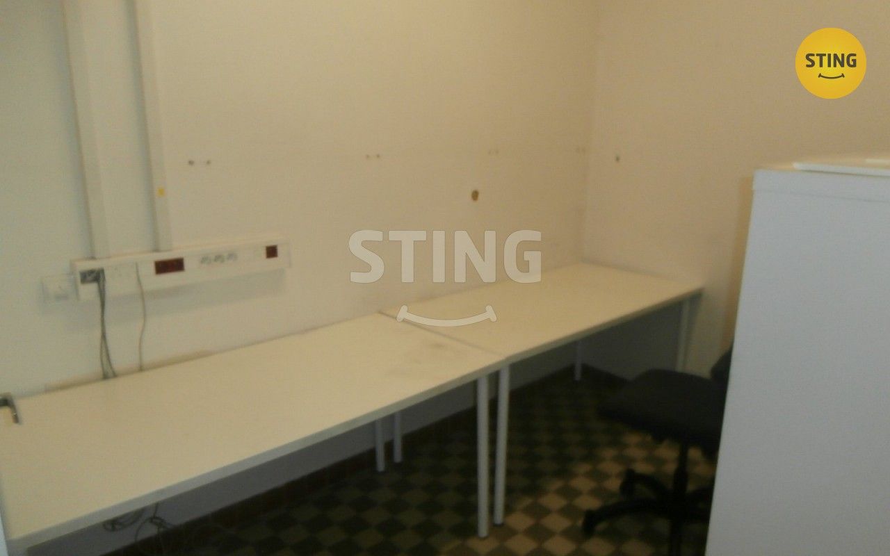 Pronájem komerčního prostoru 240 m² - foto 15