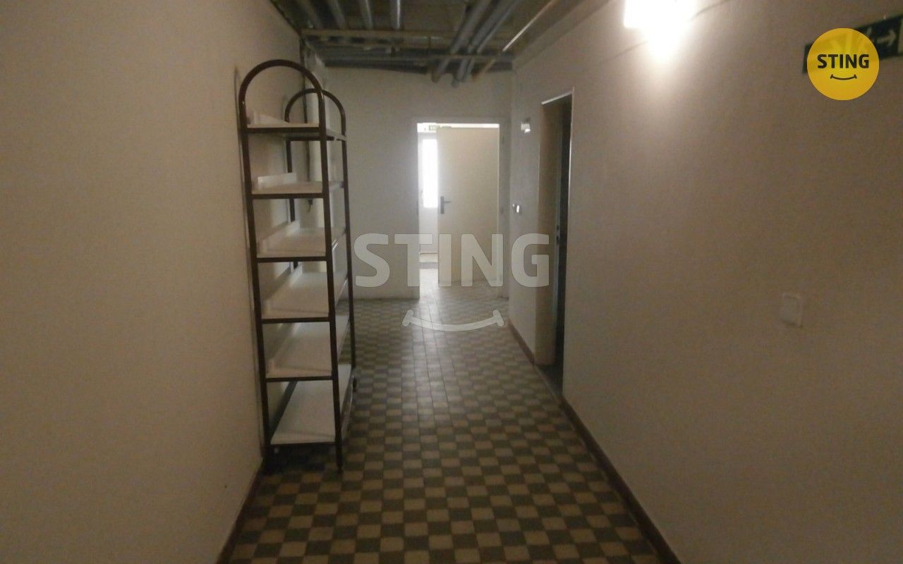 Pronájem komerčního prostoru 240 m² - foto 16