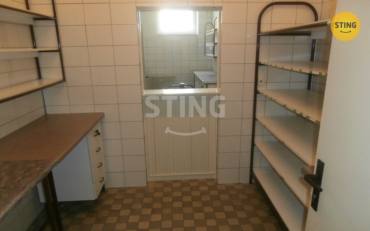 Pronájem komerčního prostoru 240 m² - foto 17