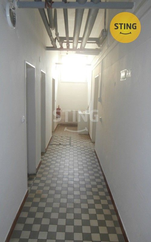 Pronájem komerčního prostoru 240 m² - foto 18