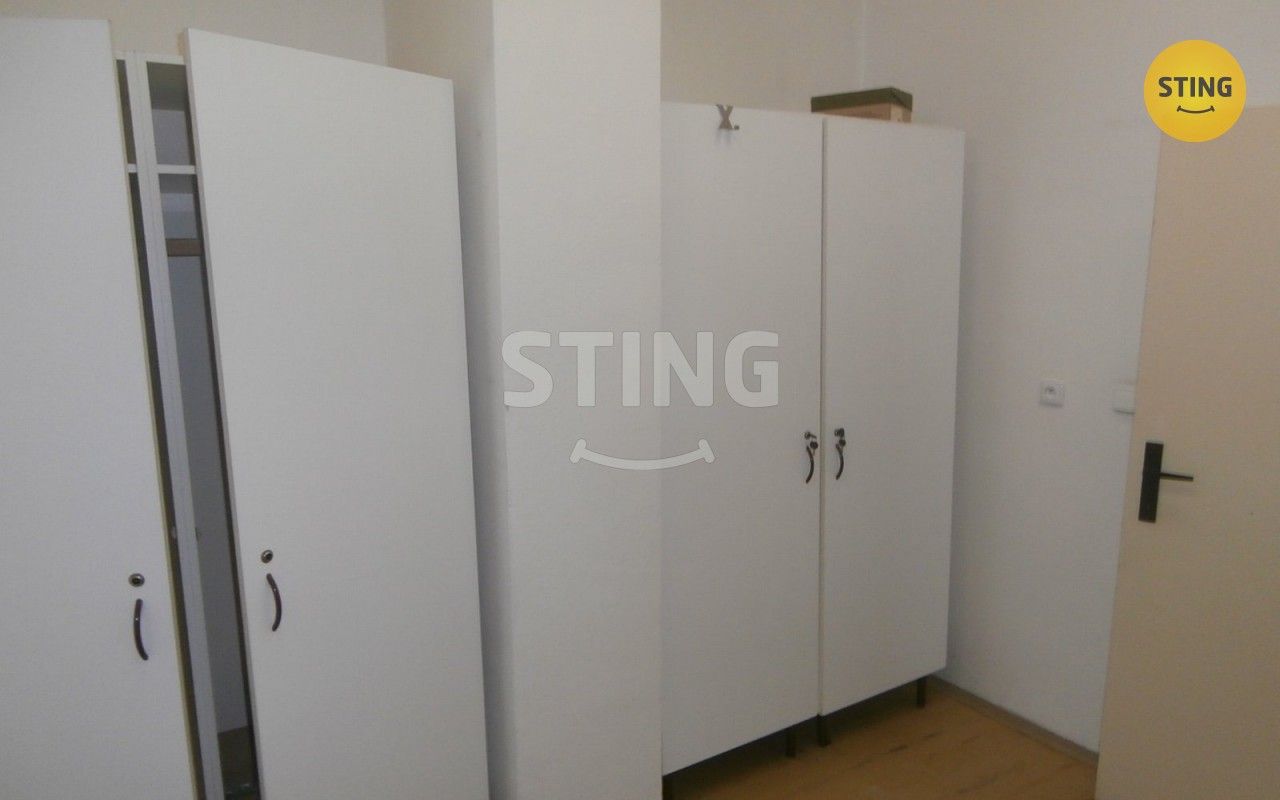 Pronájem komerčního prostoru 240 m² - foto 20