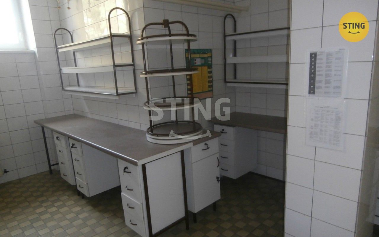 Pronájem komerčního prostoru 240 m² - foto 19