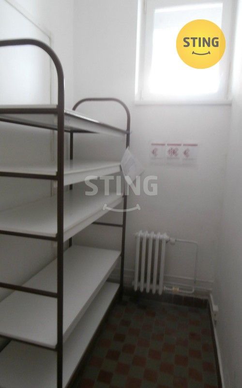 Pronájem komerčního prostoru 240 m² - foto 23