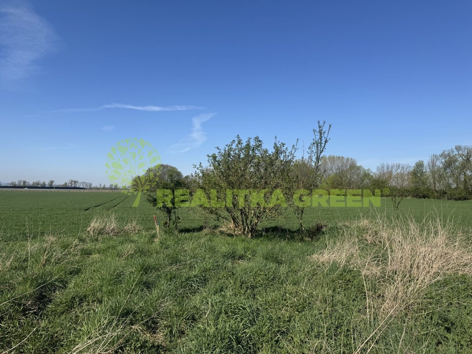 Prodej nemovitosti 27330 m² - foto 21