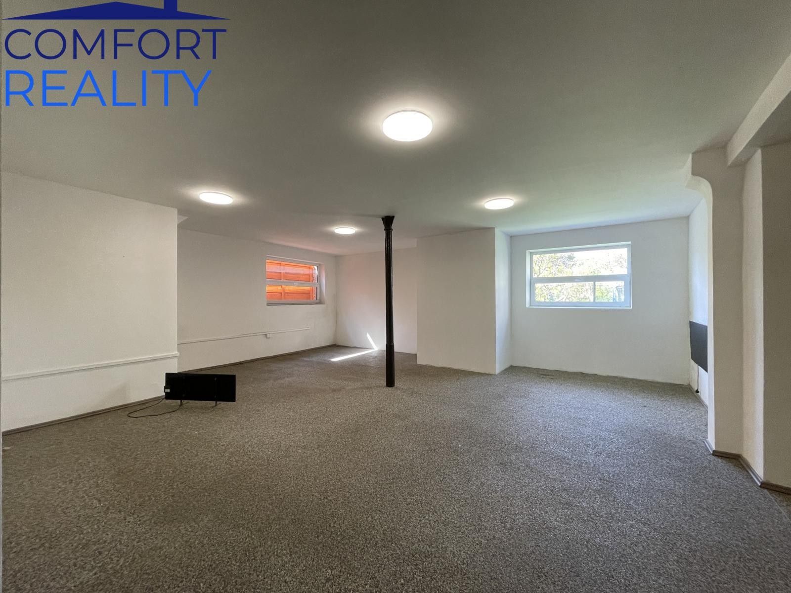 Pronájem komerčního prostoru 220 m² - foto 4