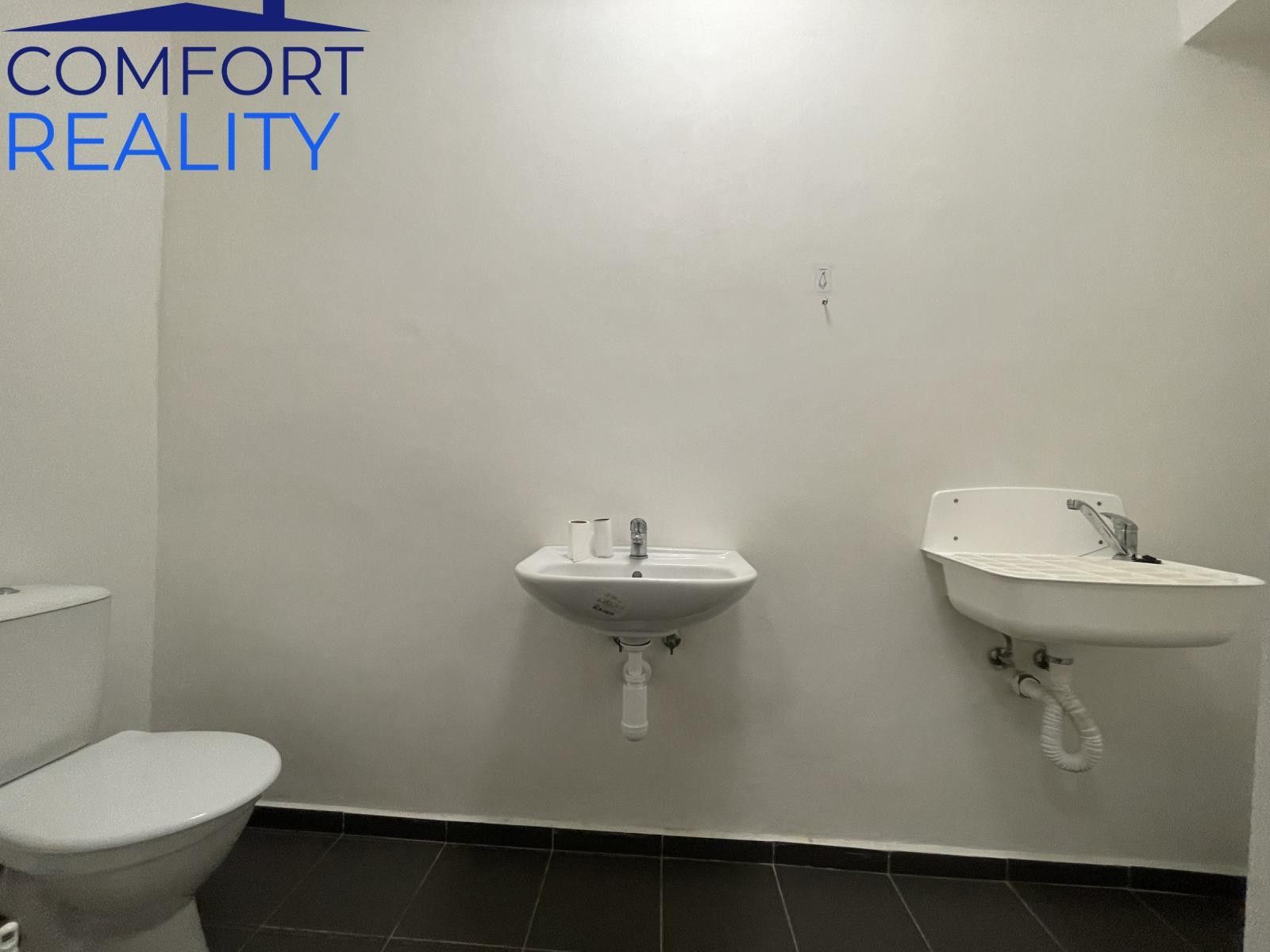 Pronájem komerčního prostoru 220 m² - foto 8