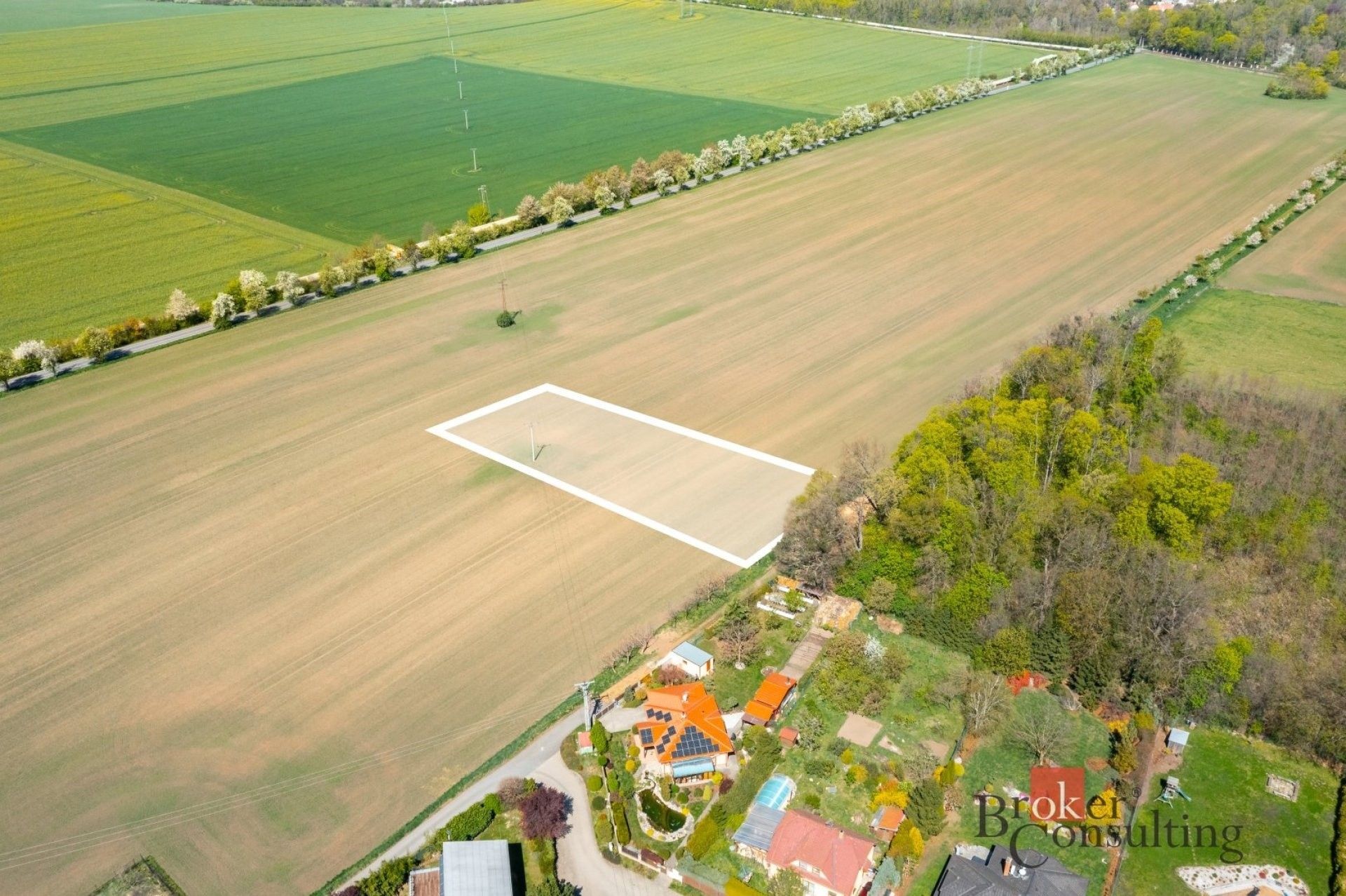 Prodej pozemku 3096 m² - foto 2