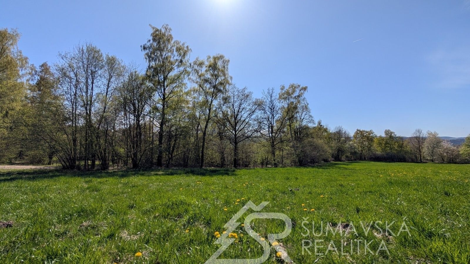 Prodej nemovitosti 165 m² - foto 4