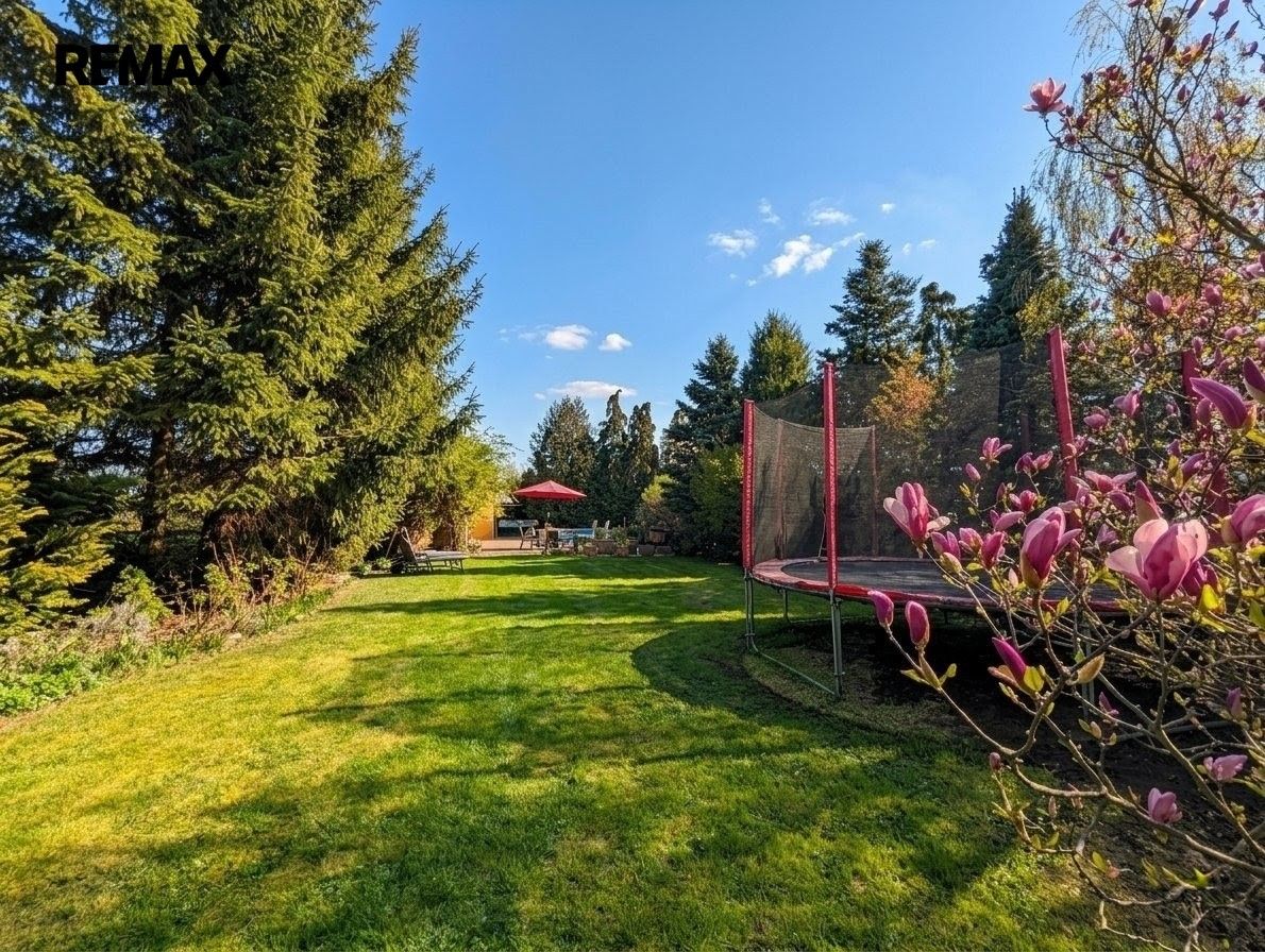 Prodej pozemku 1715 m² - foto 5
