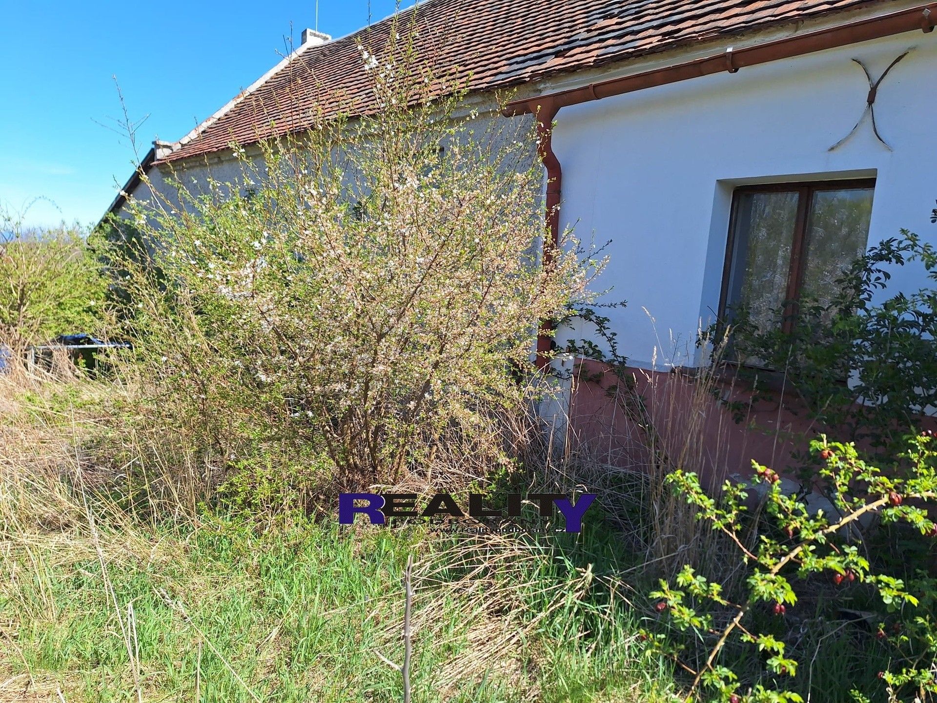 Prodej domu 349 m² - foto 17