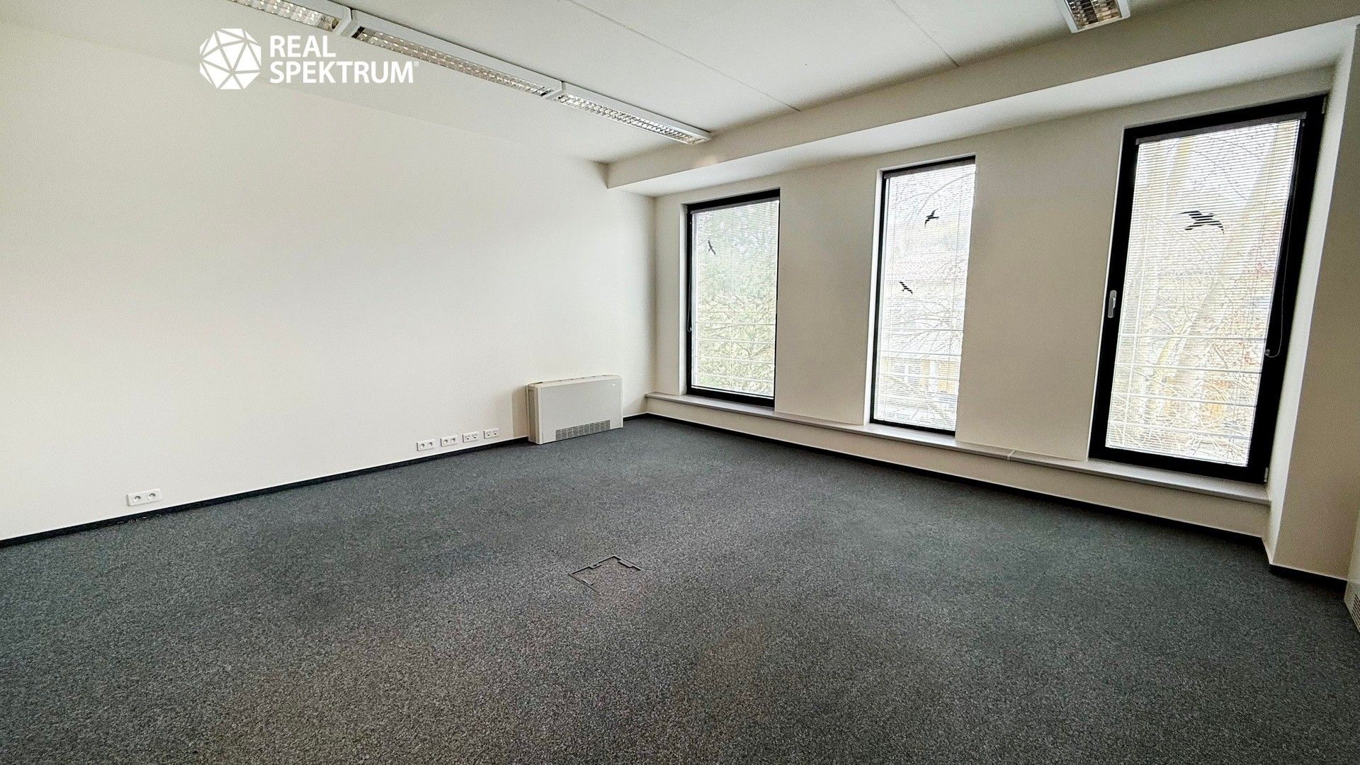 Pronájem komerčního prostoru 106 m² - foto 1