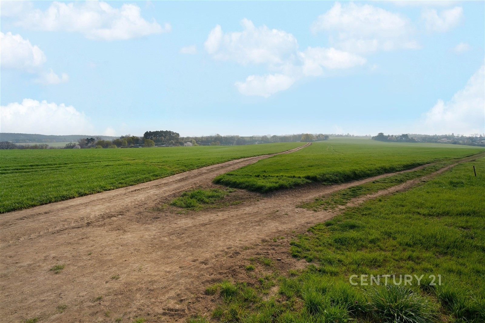 Prodej pozemku 3119 m² - foto 4