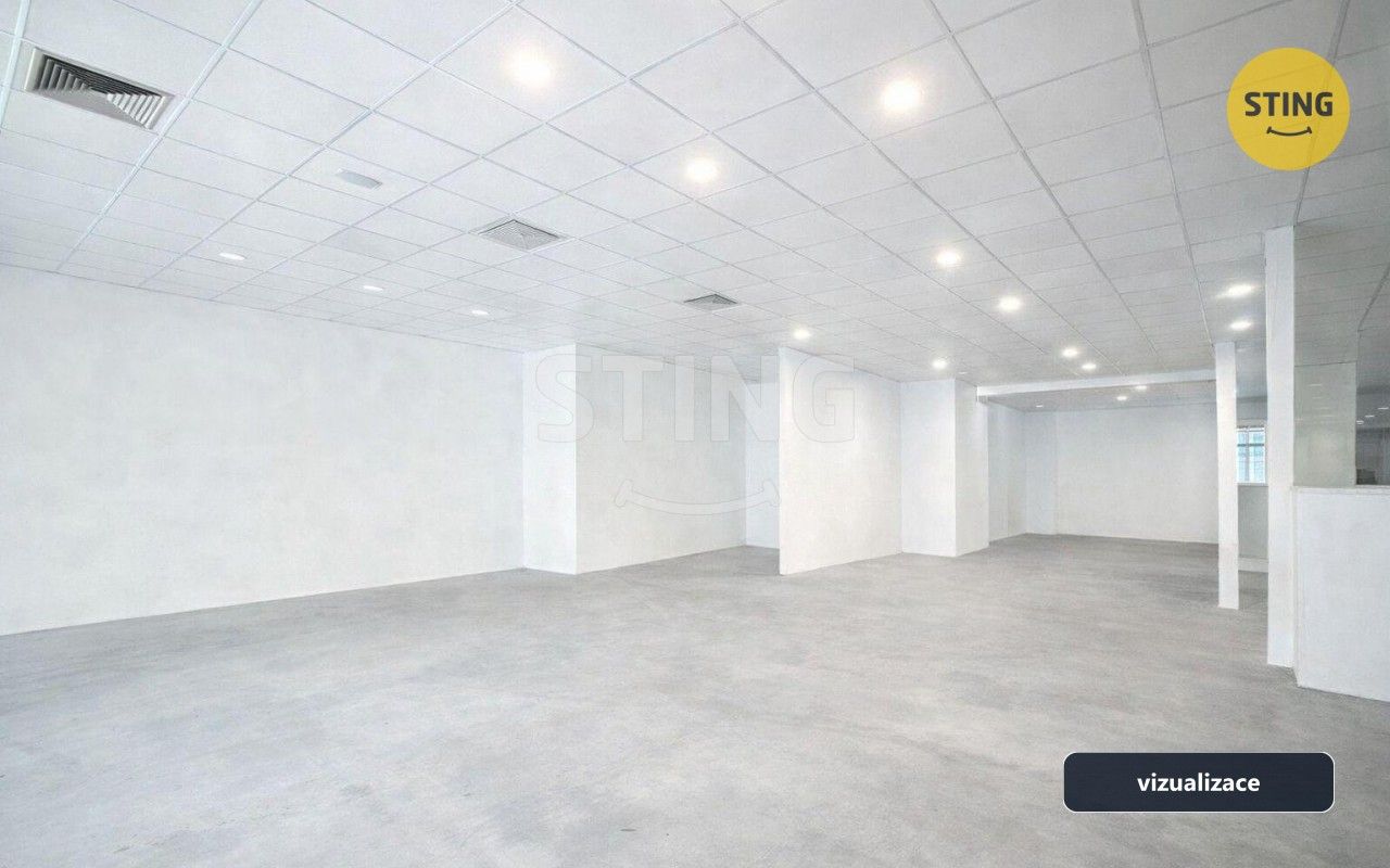 Pronájem komerčního prostoru 220 m² - foto 3
