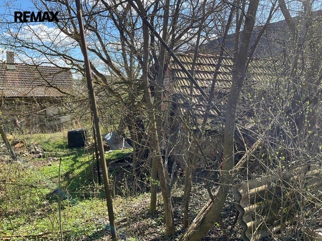 Prodej pozemku 3131 m² - foto 8