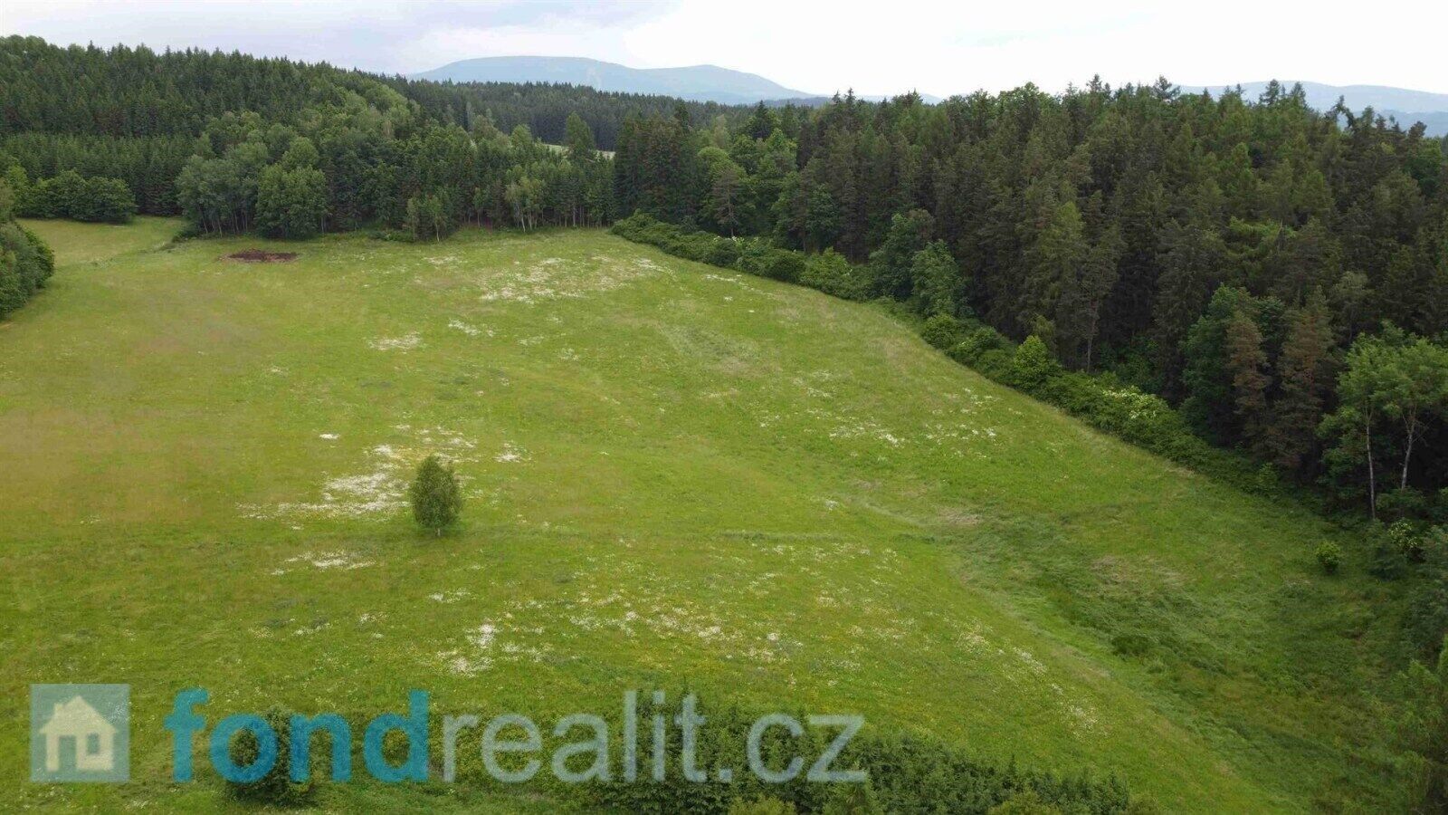 Prodej pozemku 6699 m² - foto 2