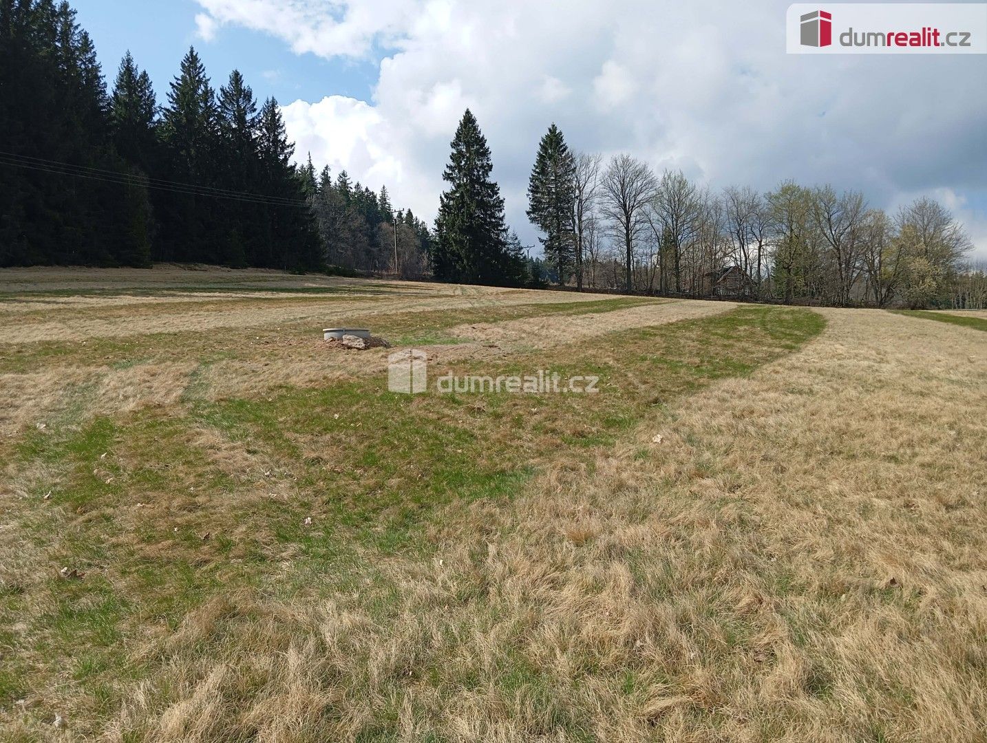 Prodej pozemku 6036 m² - foto 5