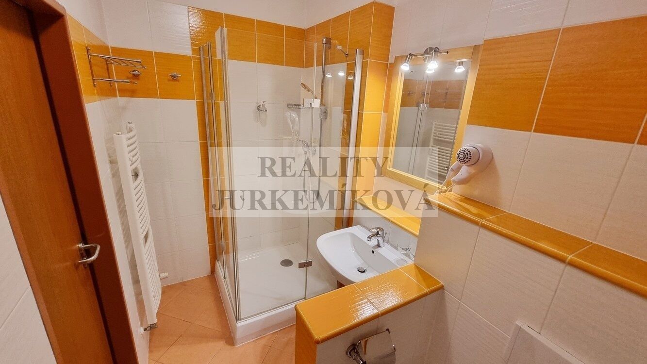 Pronájem bytu 1+kk 30 m² - foto 3