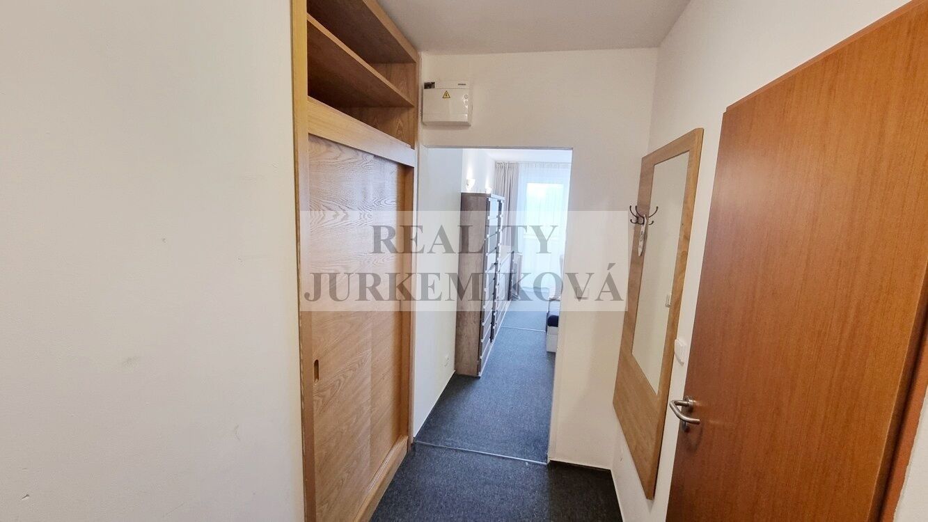 Pronájem bytu 1+kk 30 m² - foto 8