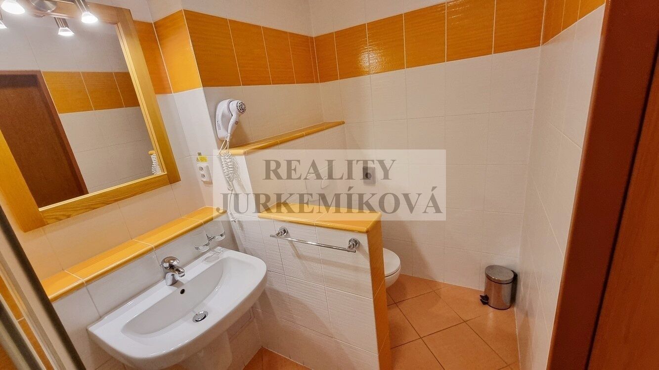 Pronájem bytu 1+kk 30 m² - foto 6
