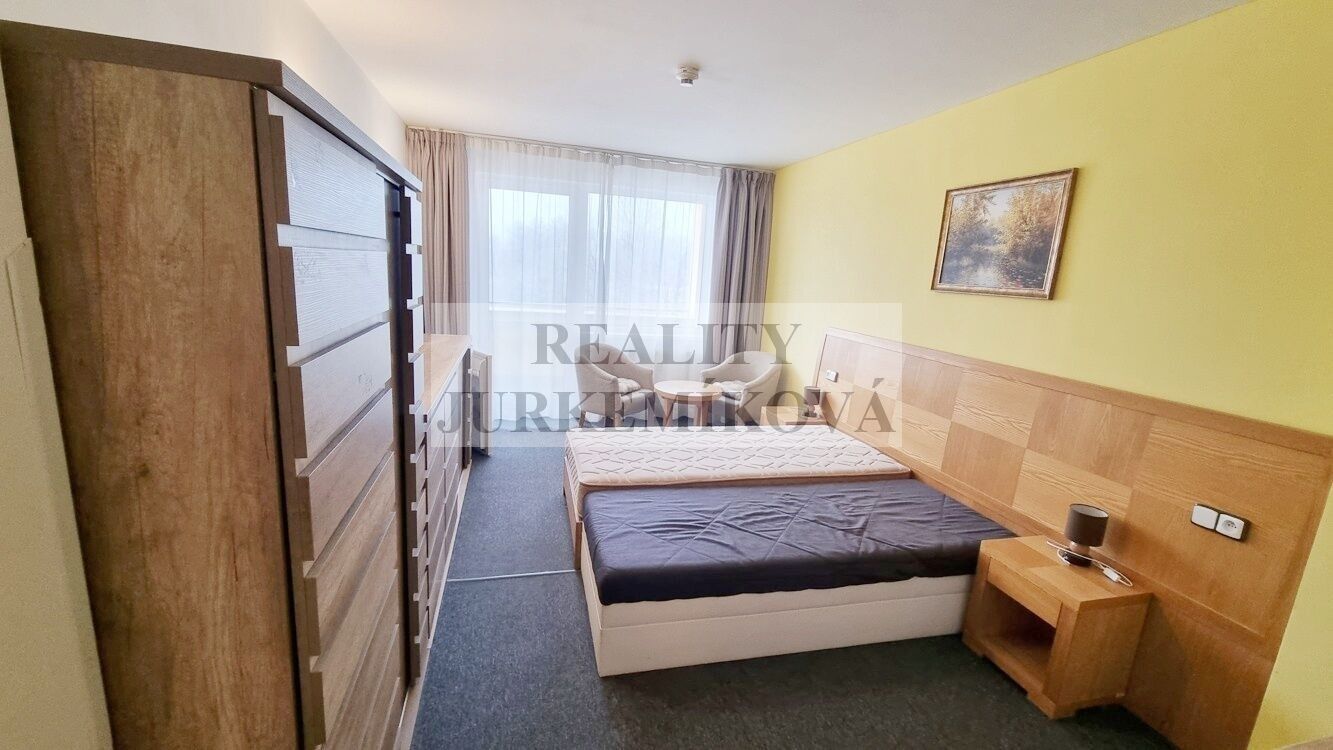 Pronájem bytu 1+kk 30 m² - foto 4