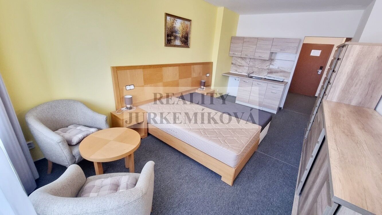 Pronájem bytu 1+kk 30 m² - foto 1
