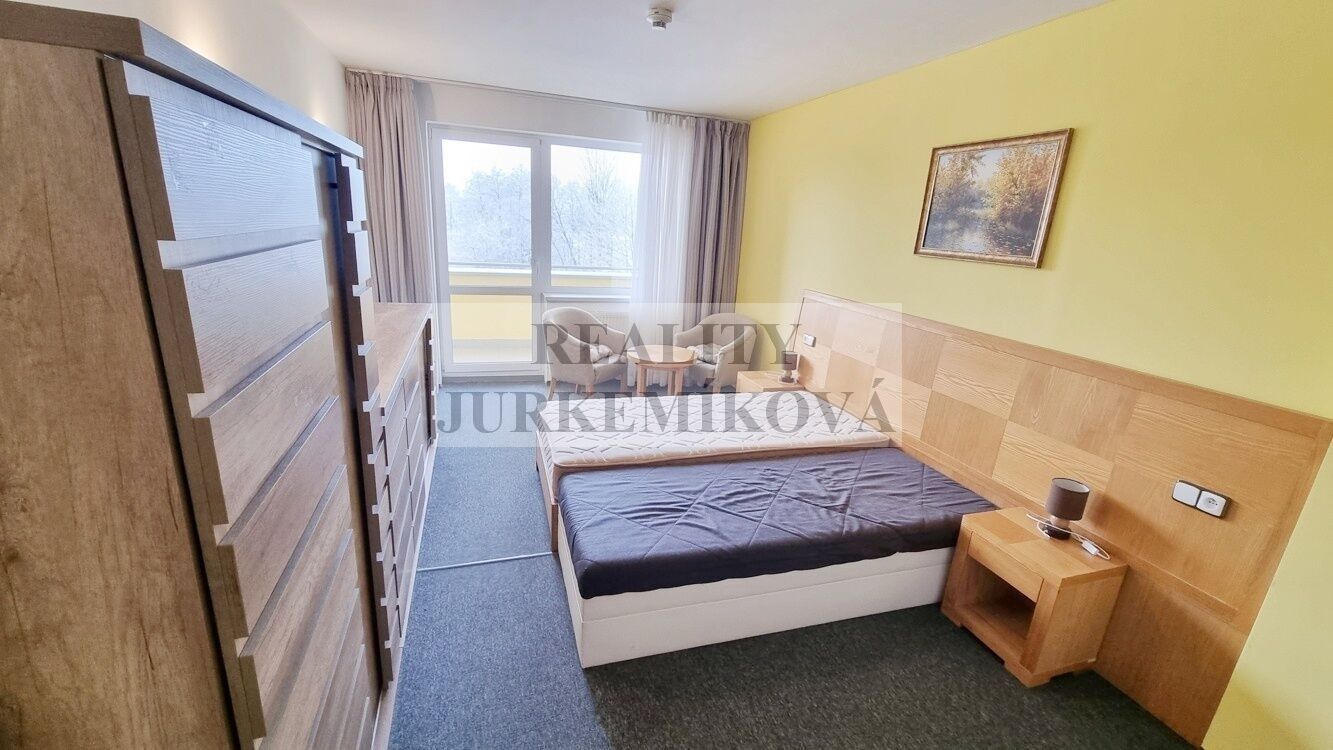 Pronájem bytu 1+kk 30 m² - foto 5