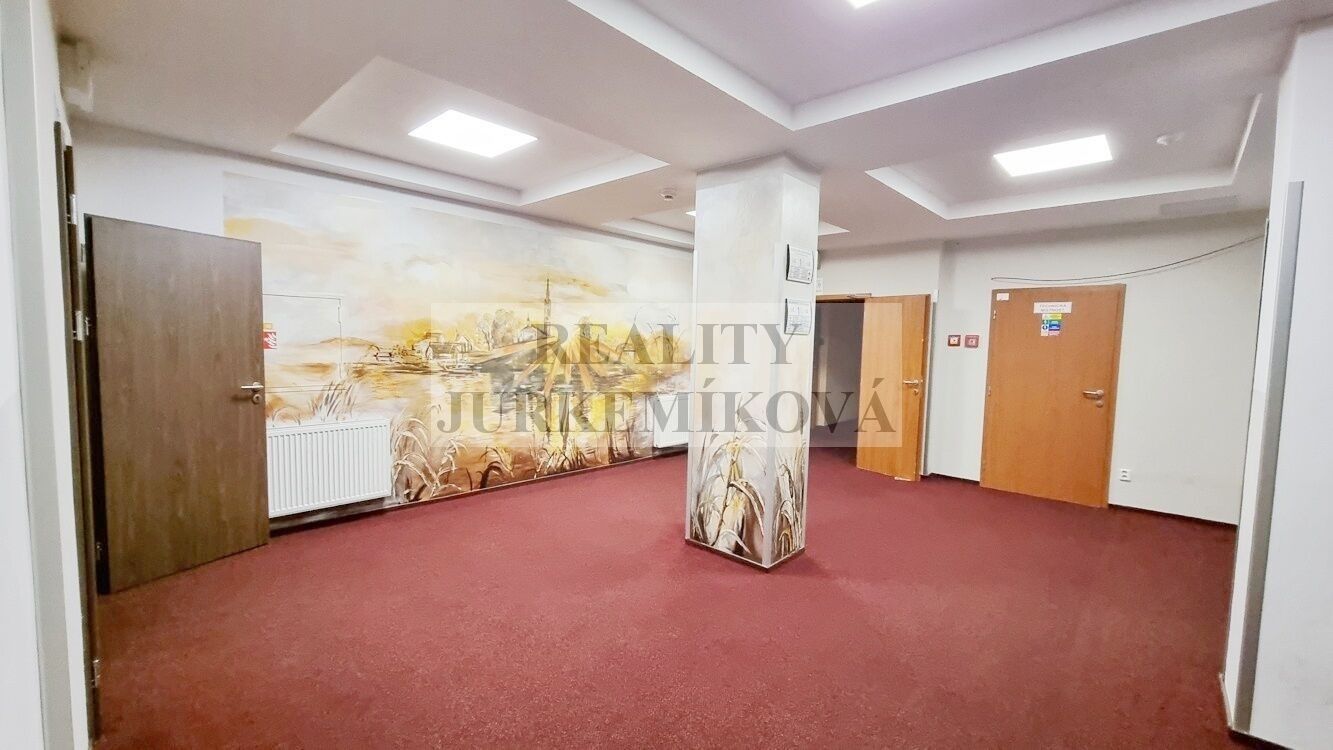 Pronájem bytu 1+kk 30 m² - foto 10