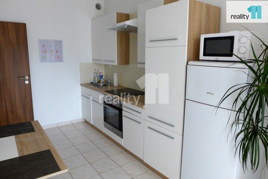 Pronájem bytu 1+1 50 m² - foto 4