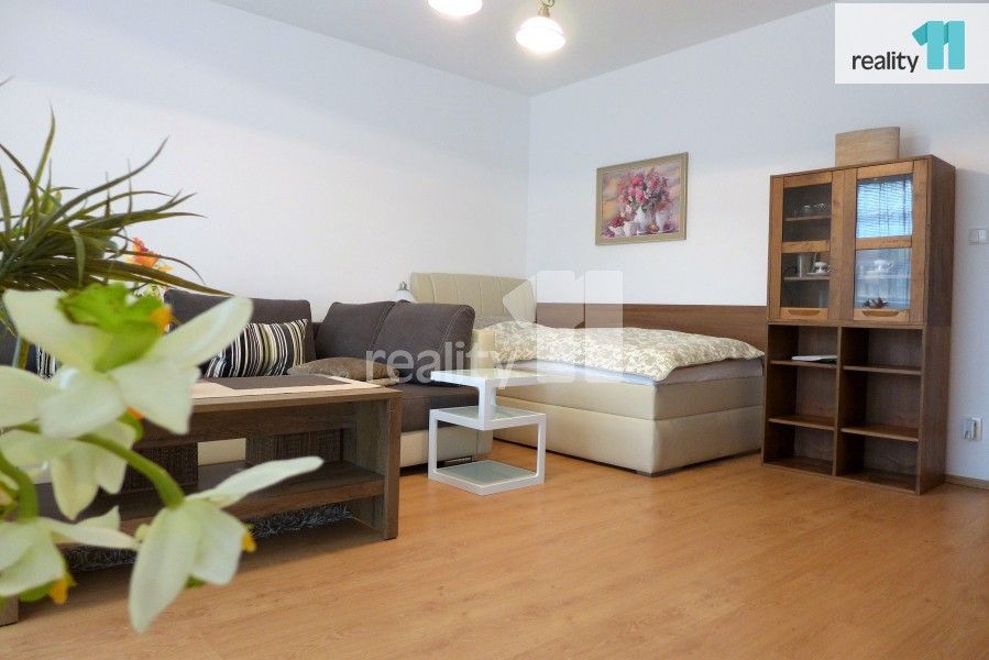 Pronájem bytu 1+1 50 m² - foto 6