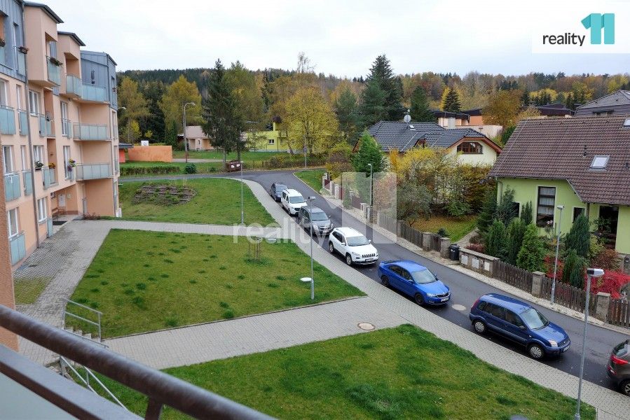 Pronájem bytu 1+1 50 m² - foto 11