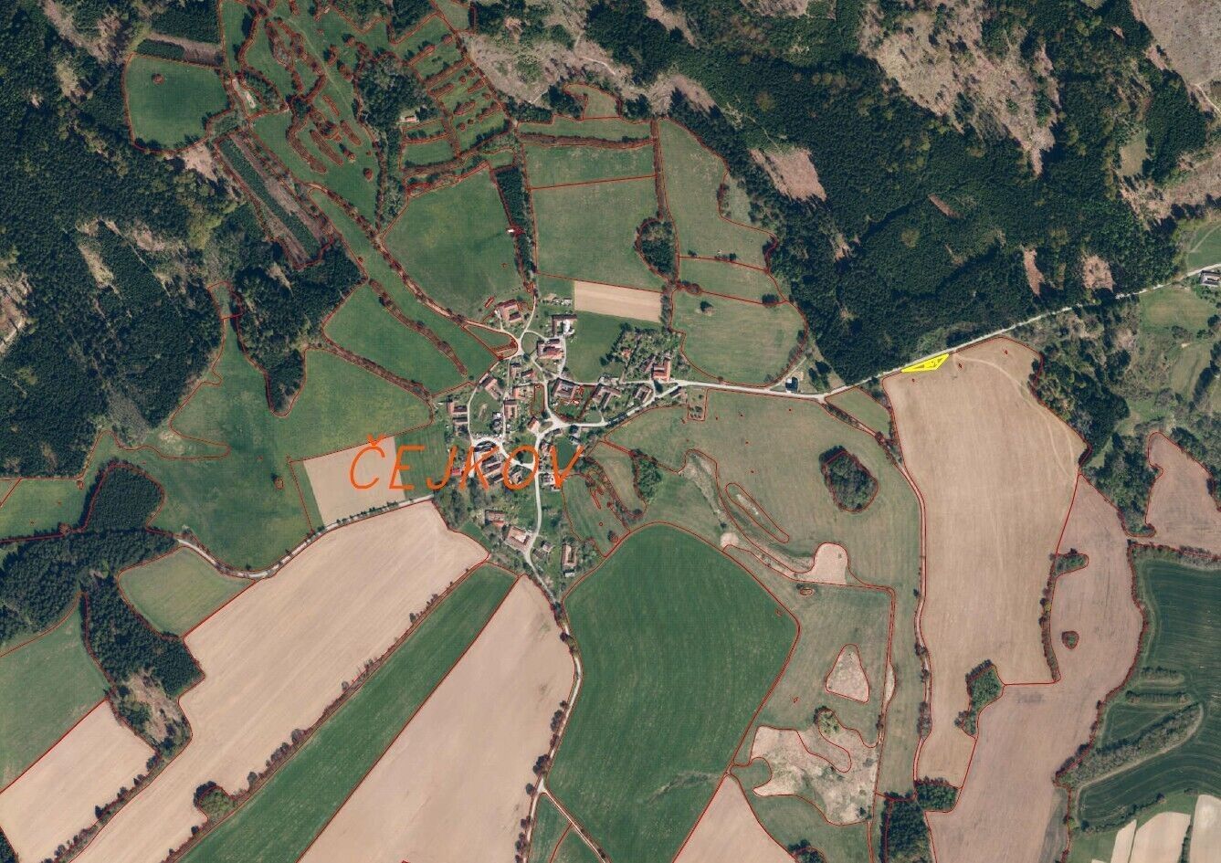 Prodej nemovitosti 590 m² - foto 2