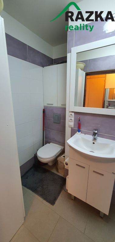 Pronájem bytu 1+1 41 m² - foto 6