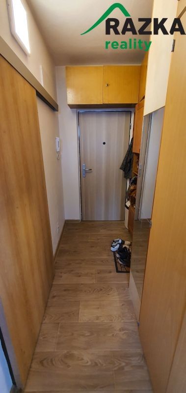 Pronájem bytu 1+1 41 m² - foto 9