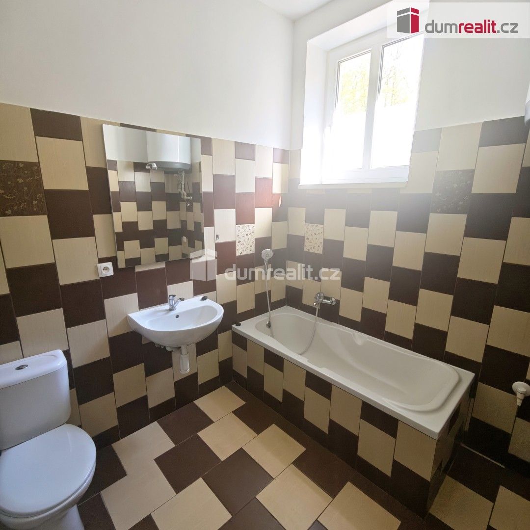 Pronájem bytu 2+1 65 m² - foto 10