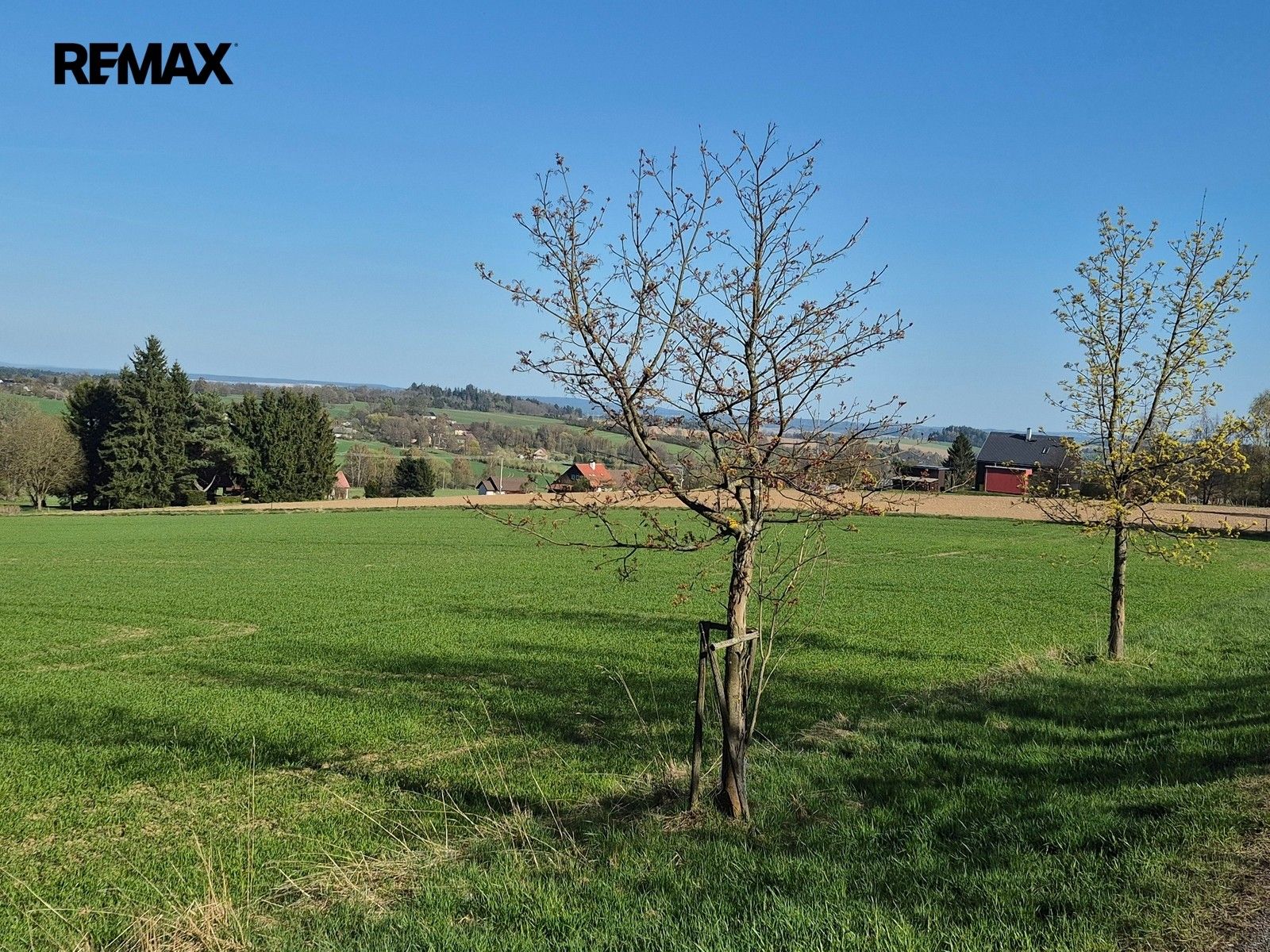Prodej pozemku 7429 m² - foto 5