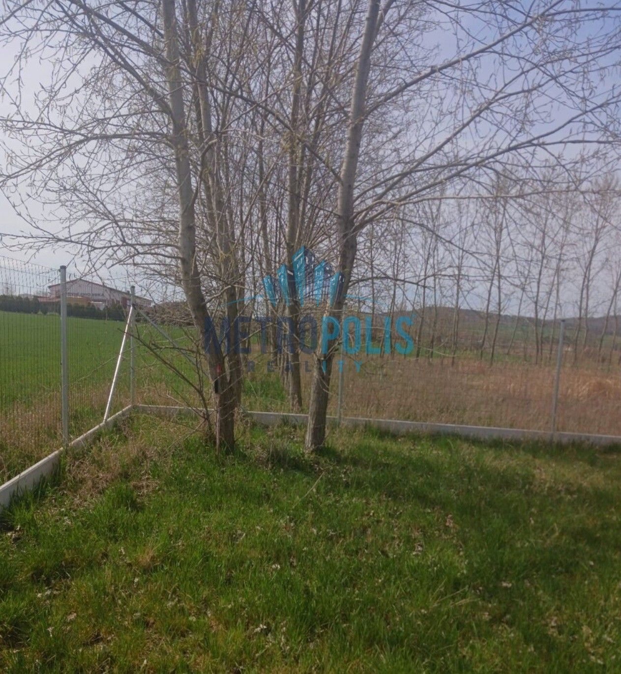 Prodej pozemku 800 m² - foto 2
