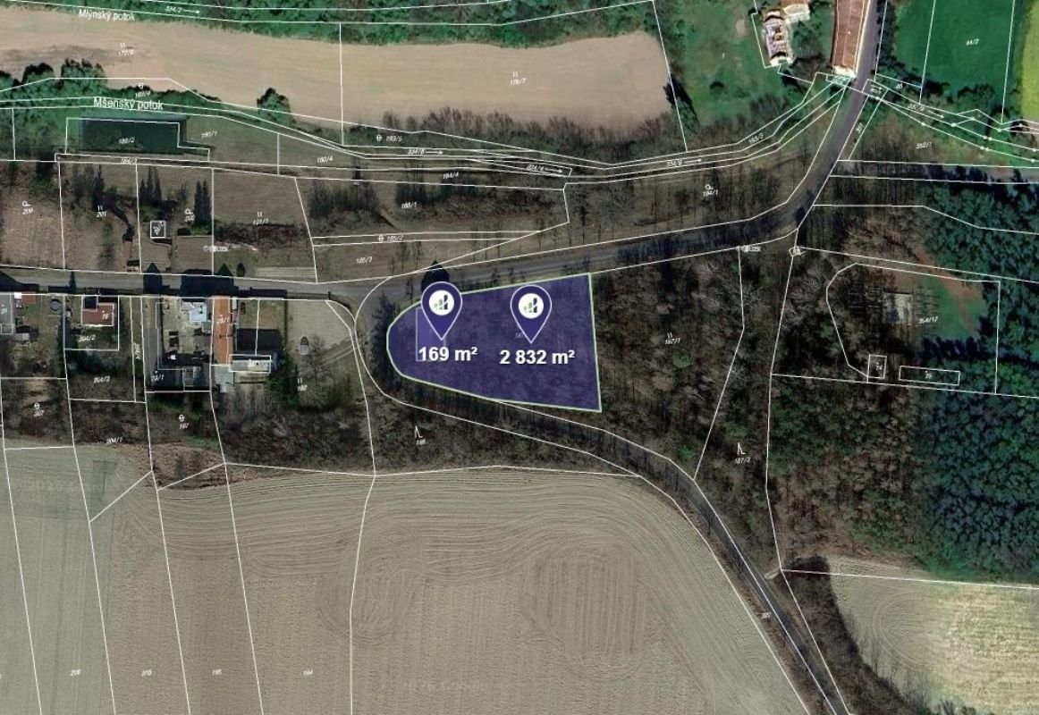 Prodej pozemku 3001 m² - foto 1