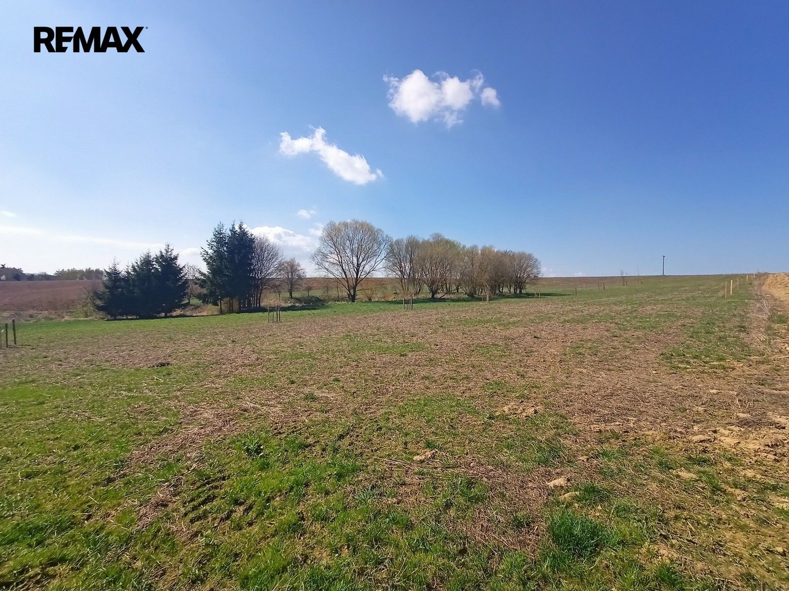 Prodej pozemku 20659 m² - foto 5
